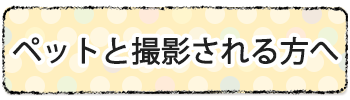 扇町スタジオペット作成撮影について
