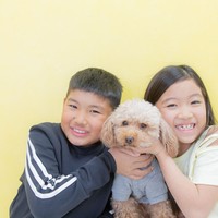 扇町スタジオMandKのペットフォト003