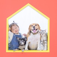 扇町スタジオMandKのペットフォト008