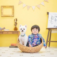 扇町スタジオMandKのペットフォト013